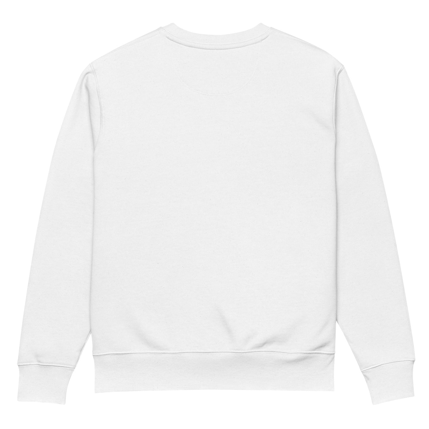 coexist sweater (white)